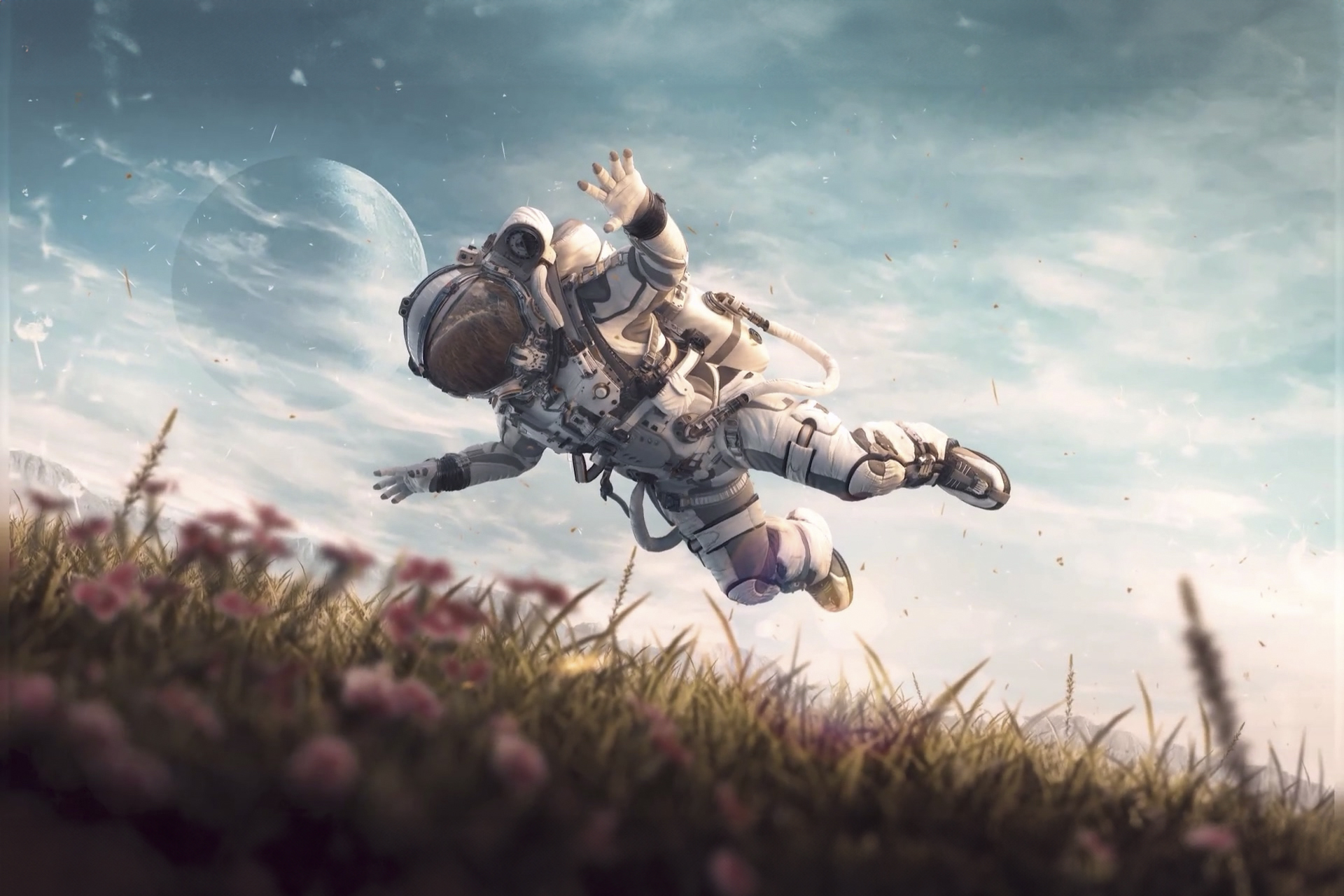 Image Alt